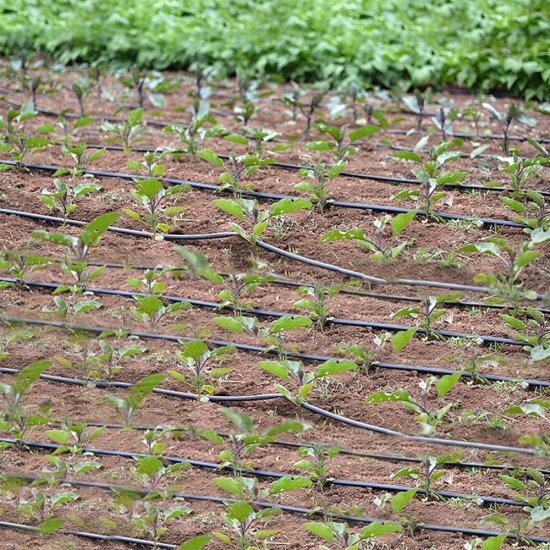 Лента для капельного полива d16 мм х 50 м MasterProf полиэтиленовая с эмиттерами (ДС.060105)