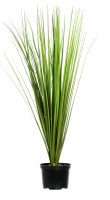 Искусственное растение в горшке осока Гарри h50 см