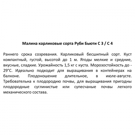 Малина карликовые сорта ø17 h50 см