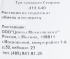 Туя западная «Смарагд» 13x40 см