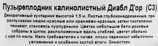 Пузыреплодник Калинолис Диабло (С3)