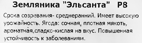 Земляника Эльсанта 8x7 см