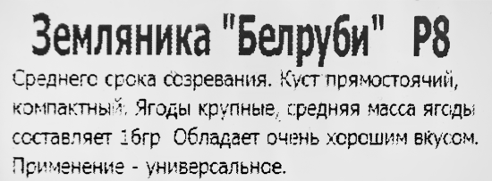 Земляника Белруби 8x7 см