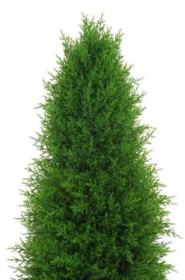 Искусственное растение туя Сантана h120 см