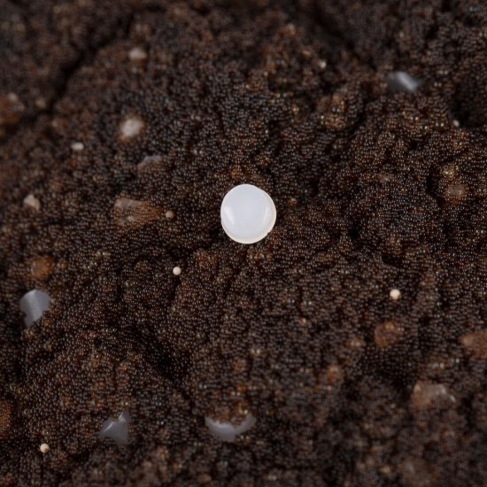 Засыпка фильтра Гейзер Экотар В30 для холодной воды 12,5 л