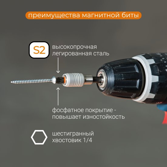 Бита магнитная Rage 554152 PH2x25 мм, 2 шт.