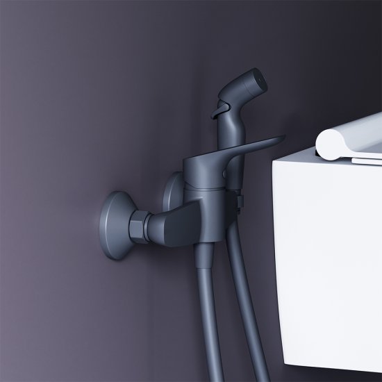 Смеситель с гигиеническим душем Damixa Jupiter черный (778000300)