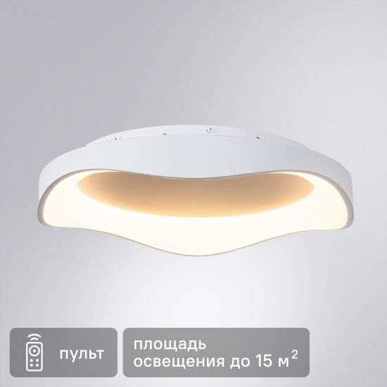Светильник настенно-потолочный светодиодный Arte Lamp Ankaa 55 Вт 15 м² регулируемый белый цвет света цвет белый