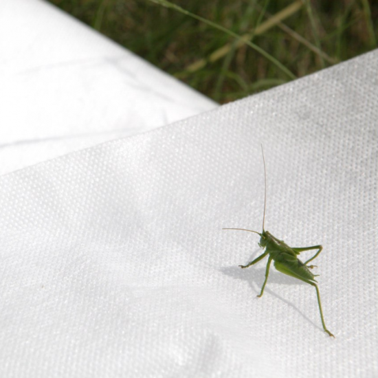 Укрывной материал Агротекс 60 г/м² 3.2x40 м