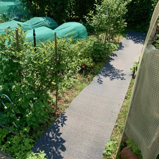 Тротуарная противоскользящая дорожка Alegria outdoor 2500x600x5 мм