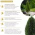Удобрение сухое для хвойных растений гранулированное с биодоступным кремнием Bona Forte 1 л