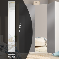 Дверь с зеркалом для шкафа Лион 40x226x2.1 см ЛДСП цвет серый