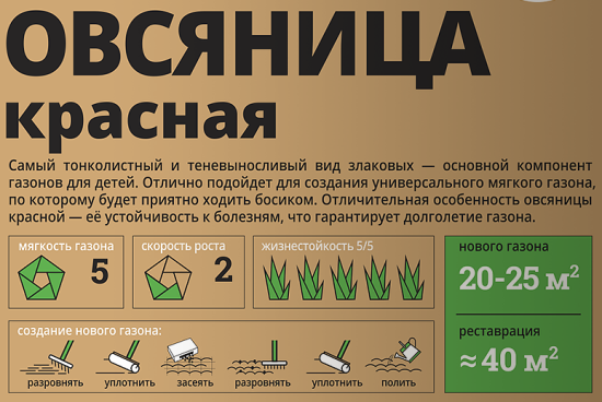 Семена для газона Мираторг Овсяница красная 0.8 кг