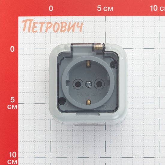 Розетка Svet накладная серая с крышкой (EV 0366-6619)