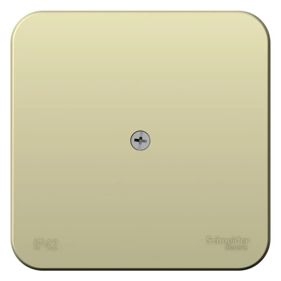 Распределительная коробка Systeme Electric Blanca