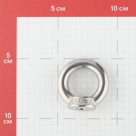 Рым-гайка M10 DIN 582 нержавеющая сталь