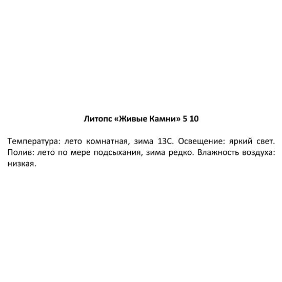 Литопс микс 5x10 см