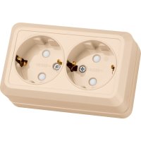 Розетка TDM ELECTRIC Ладога