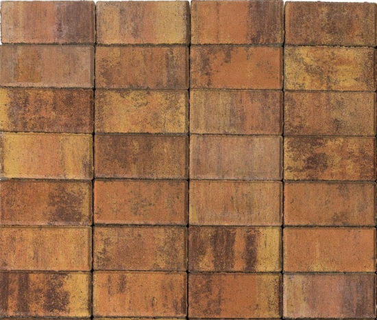 Плитка Тротуарная BRAER прямоугольник 200x100 мм цвет прайд толщина 40 мм