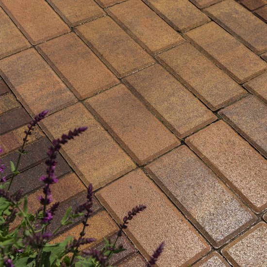 Плитка Тротуарная BRAER прямоугольник 200x100 мм цвет прайд толщина 40 мм