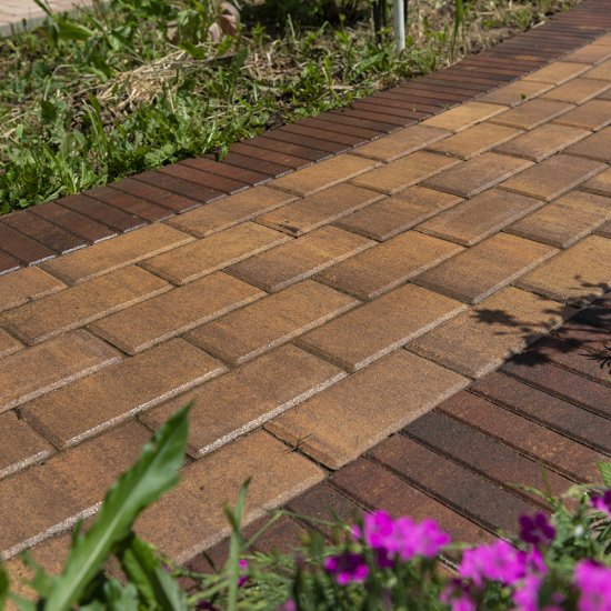 Плитка Тротуарная BRAER прямоугольник 200x100 мм цвет прайд толщина 40 мм