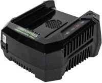 Зарядное устройство Greenworks G82C