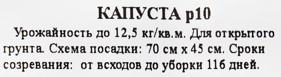 Рассада Капуста ø9 h15 см
