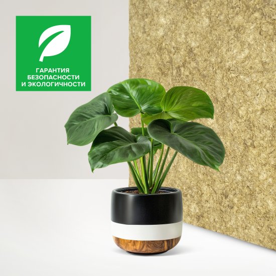 Утеплитель Технониколь Кровля и Стены 50 мм 8 шт 600x800 мм 3.84 м²