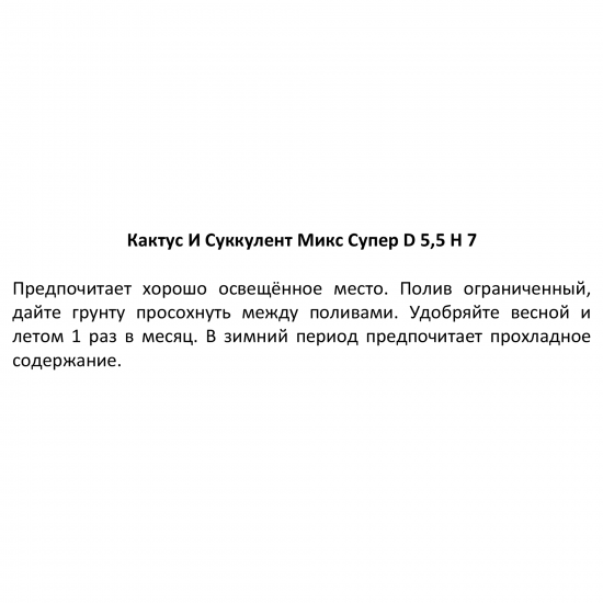 Кактус и суккулент микс супер ø5.5 h7 см