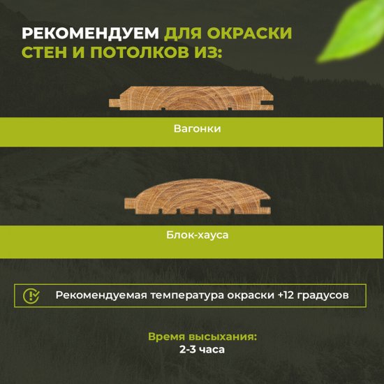 Эко-лазурь Dusberg Balance для дерева белая шелковисто-матовая 2 л