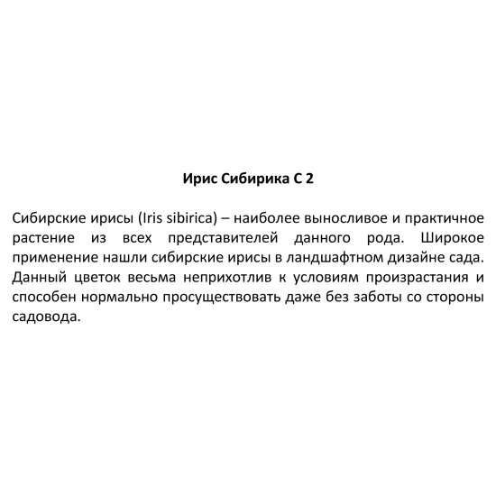 Ирис микс С2