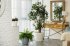 Горшок цветочный Ingreen Villa De Fiori ø36 h33 см v20 л пластик утренний туман