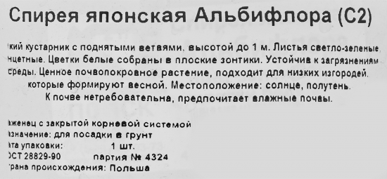 Спирея японская «Альбифлора» С2