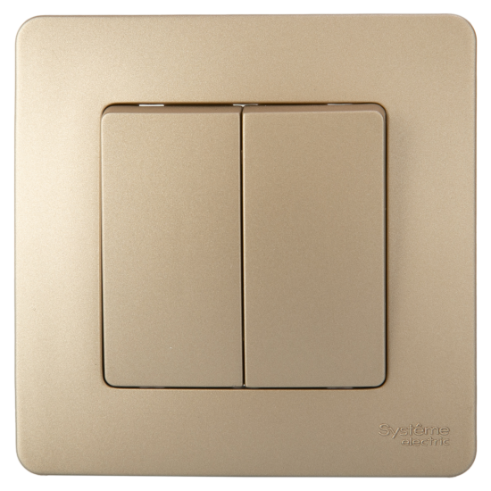 Переключатель встраиваемый Systeme Electric Blanca 2 клавиши цвет титановый