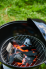 Уголь берёзовый отборный Supergrill 3 Кг