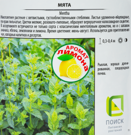 Мята Альмира 1.5 л h15 см