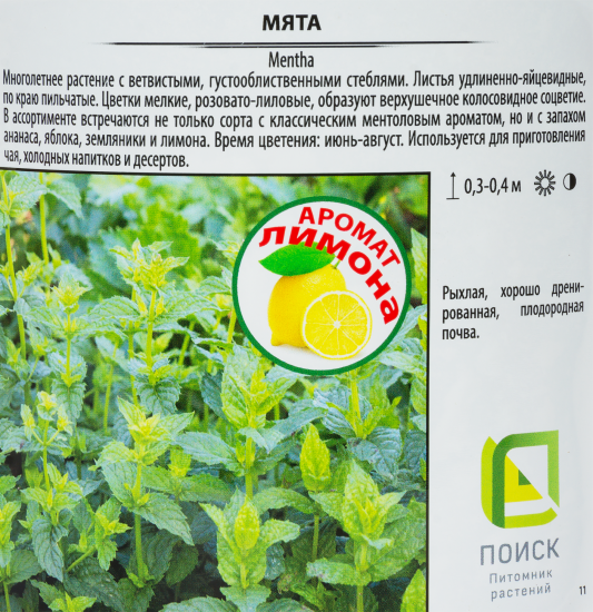 Мята Альмира 1.5 л h15 см