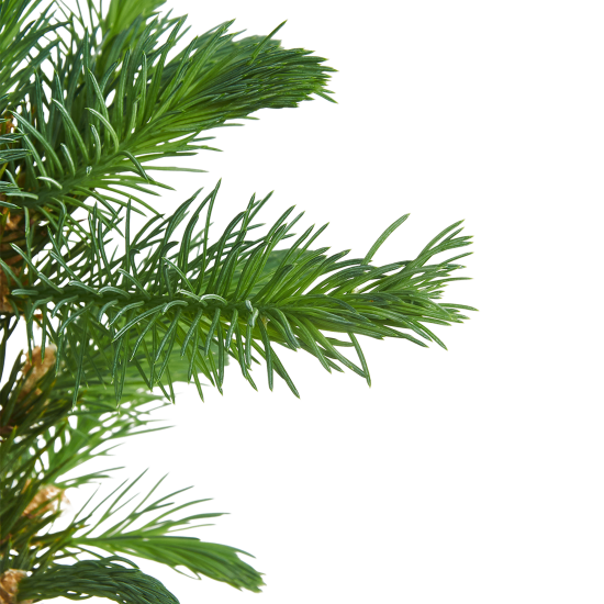 Ель сербская h30 - 50 см