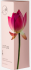 Ароматический диффузор Aroma Harmony Spring Lotus 60 мл