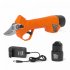 Секатор аккумуляторный Daewoo DAGP 2516Li SET 16 В 25 мм Li-Ion 1x2.5 Ач