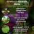 Сидерат семена вики Зеленый Уголок 3 кг