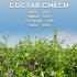 Сидерат семена вики/овса/горчицы/рапса Зеленый Уголок 5 кг