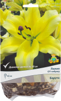 Лилии ОТ-гибриды «Барута», размер луковицы 14/16, 1 шт.