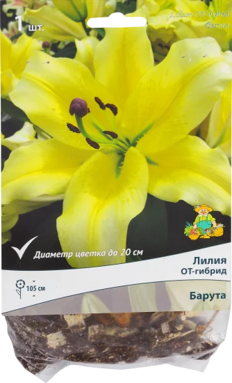 Лилии ОТ-гибриды «Барута», размер луковицы 14/16, 1 шт.