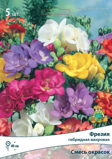 Фрезия гибридная махровая смесь окрасок