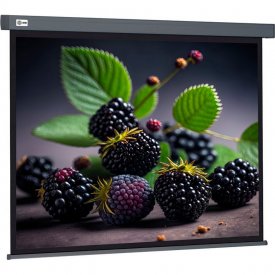 Настенно-потолочный рулонный экран Cactus Wallscreen CS-PSW-127x127-SG