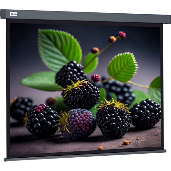 Настенно-потолочный рулонный экран Cactus Wallscreen CS-PSW-127x127-SG