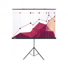 Напольный рулонный экран Cactus Triscreen CS-PST-180x180