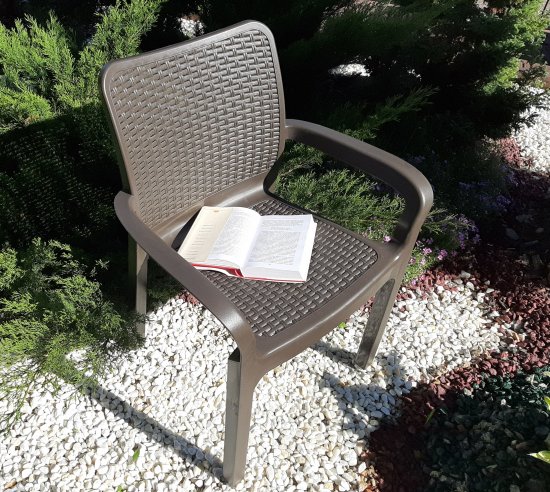 Стул Ingreen Rattan 50.6x58x83.3 см пластик коричневый