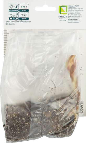 Лилия восточная Фурио